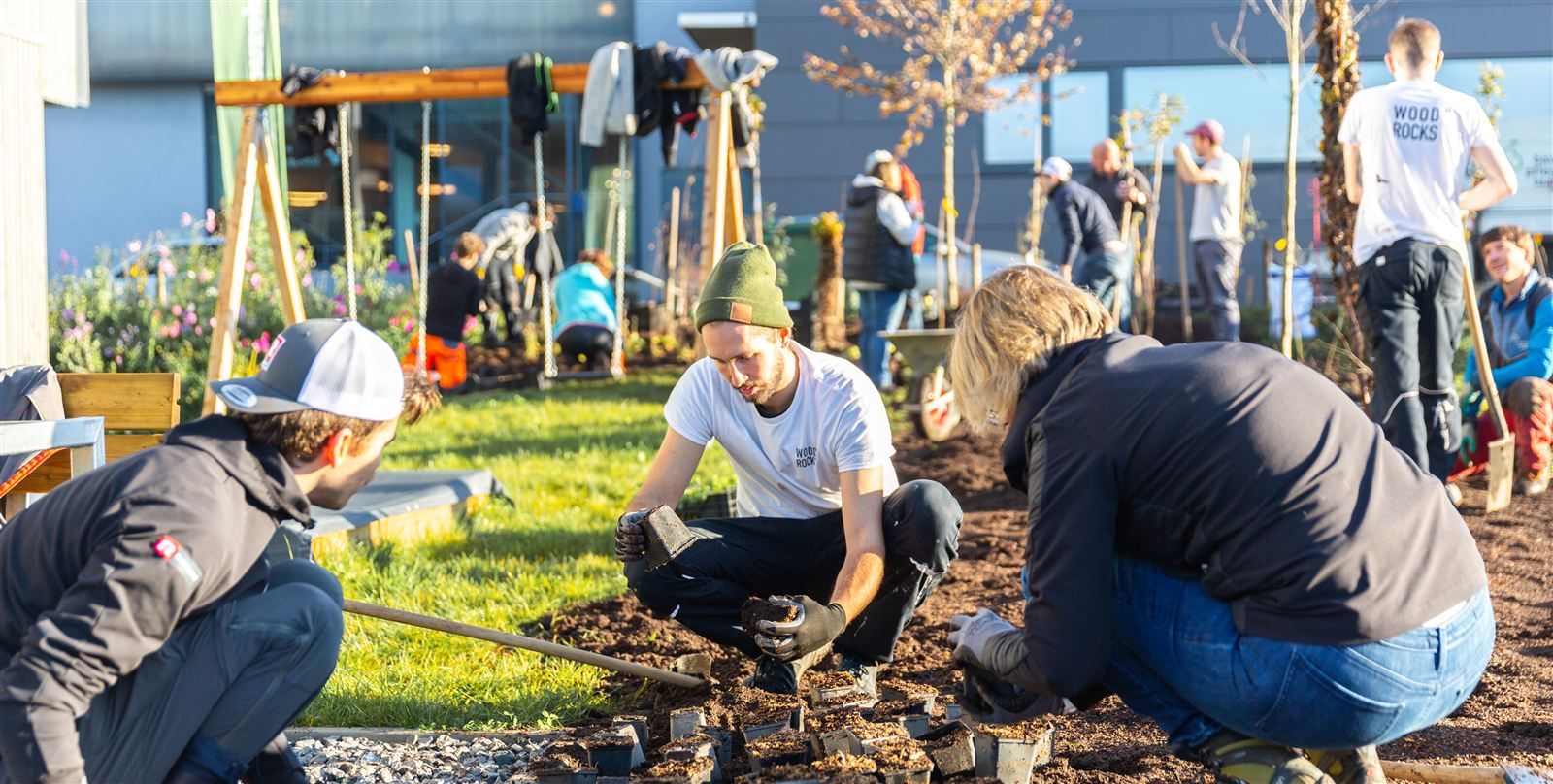 WoodRocks Mitarbeitende pflanzen einen Miniwald am eigenen Standort