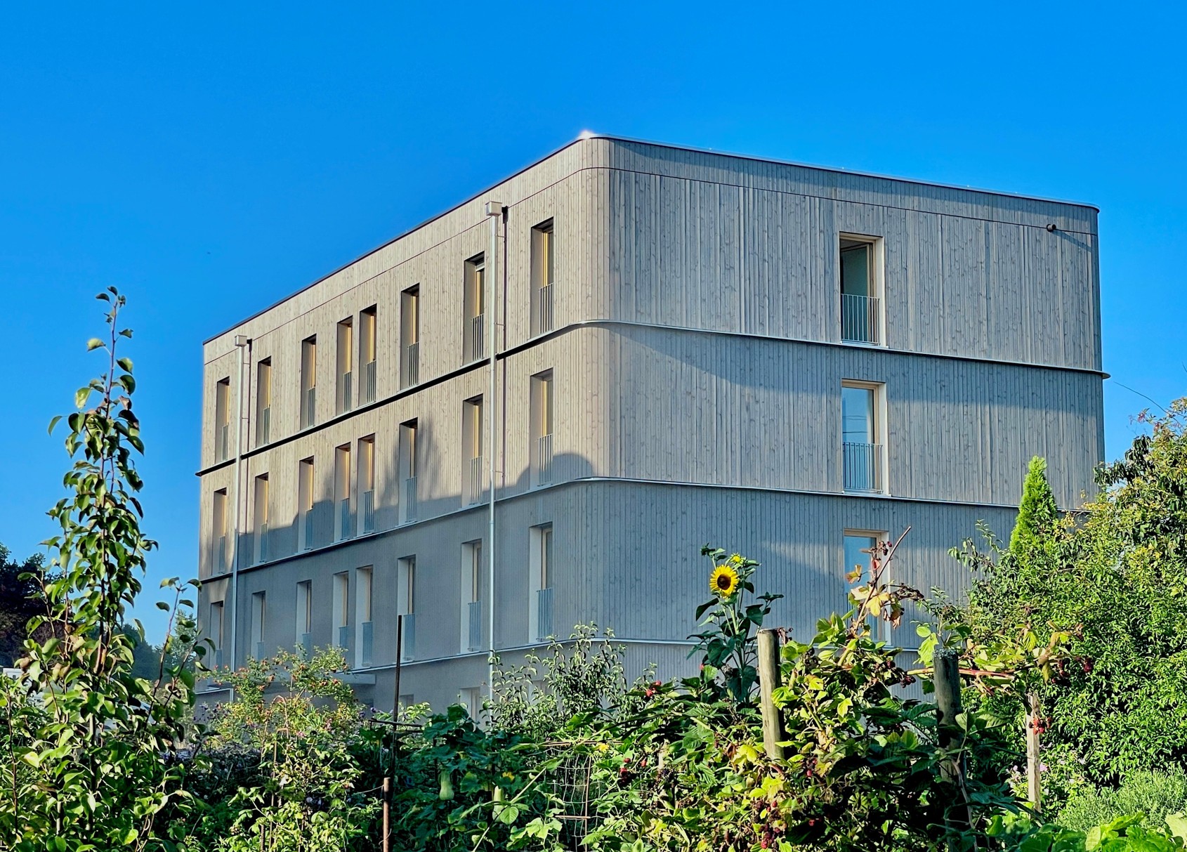 Detailansicht Nürtingen – moderne Holzfassade