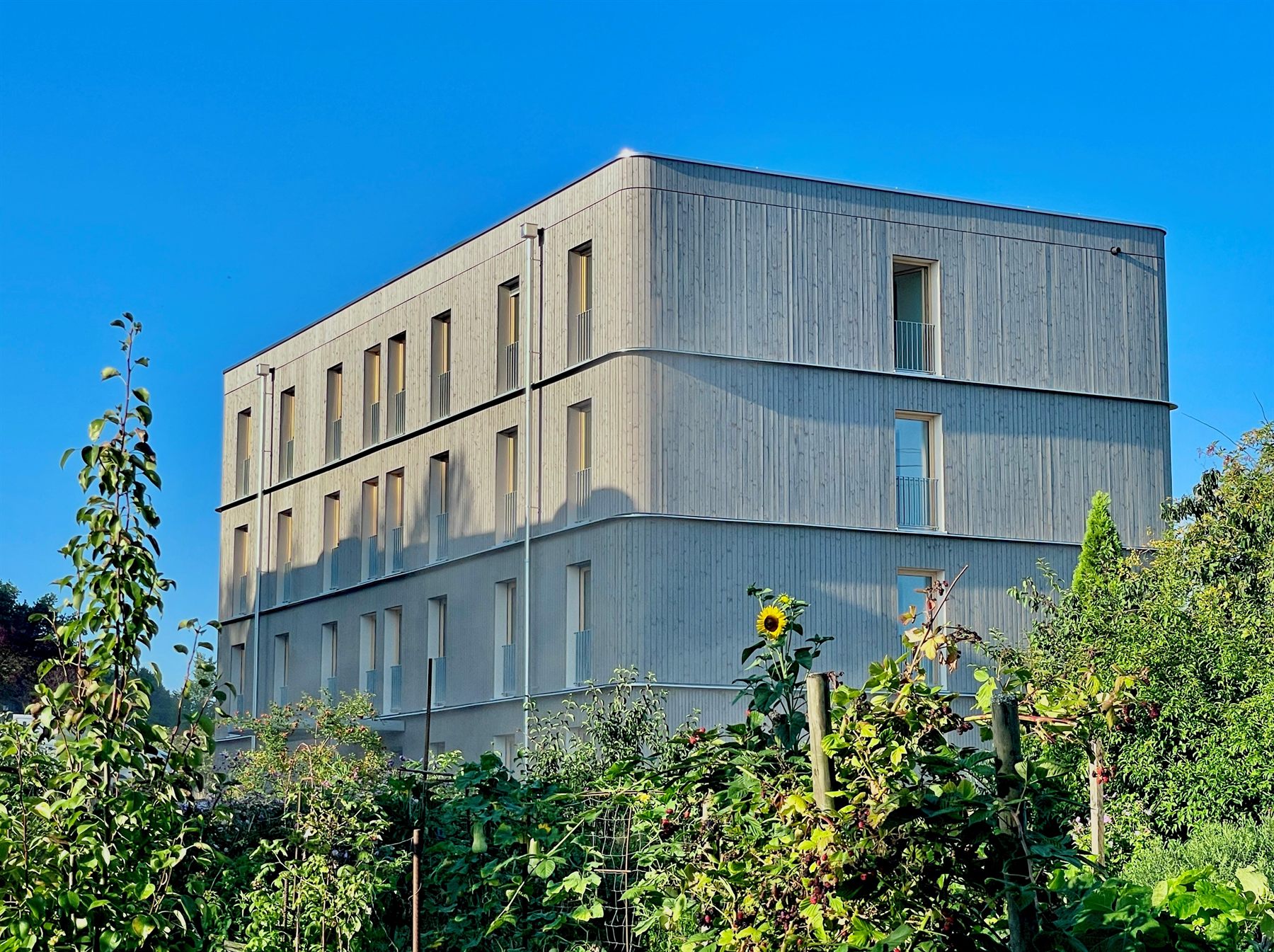 Wohnbau Nürtingen, Im Wasserfall – Haus 1 mit Holzfassade und Gärten im Vordergrund